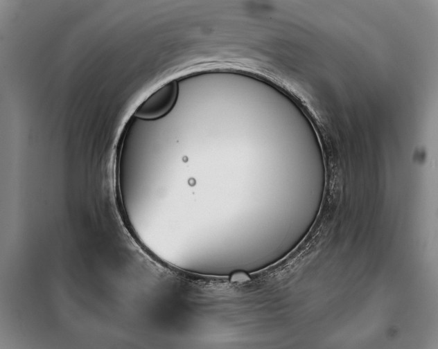 X0000101201516200806271338