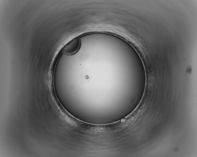 X0000101201517200806271338