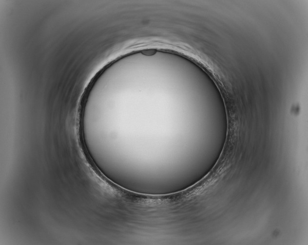X0000101201518200806271338