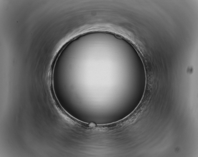 X0000101201519200806271338