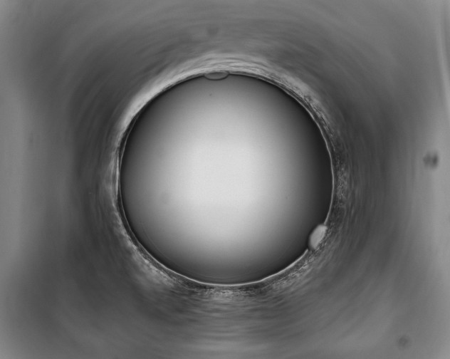 X0000101201520200806271338