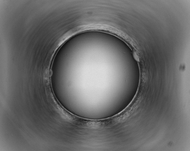 X0000101201521200806271338