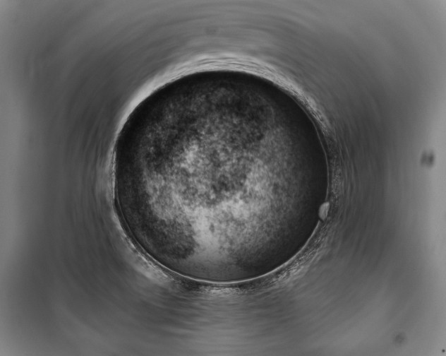 X0000101201522200806271338