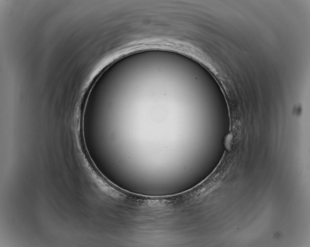 X0000101201523200806271338