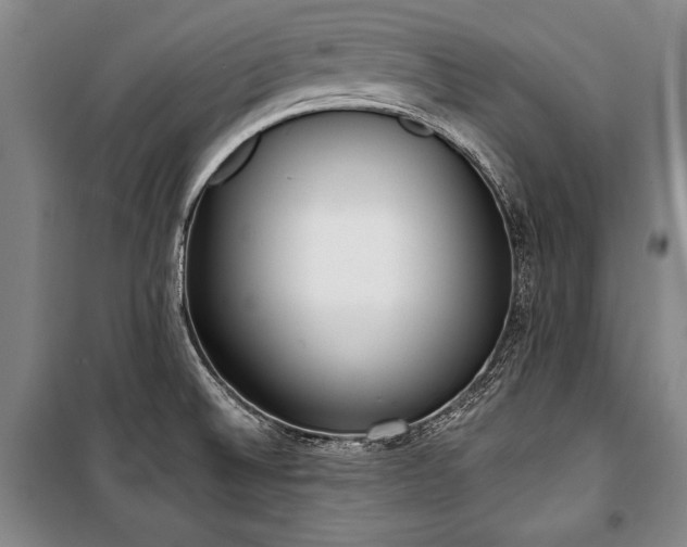 X0000101201524200806271338