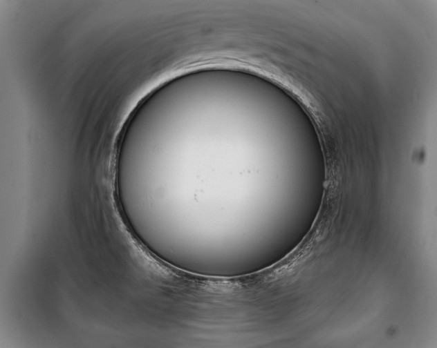 X0000101201526200806271339