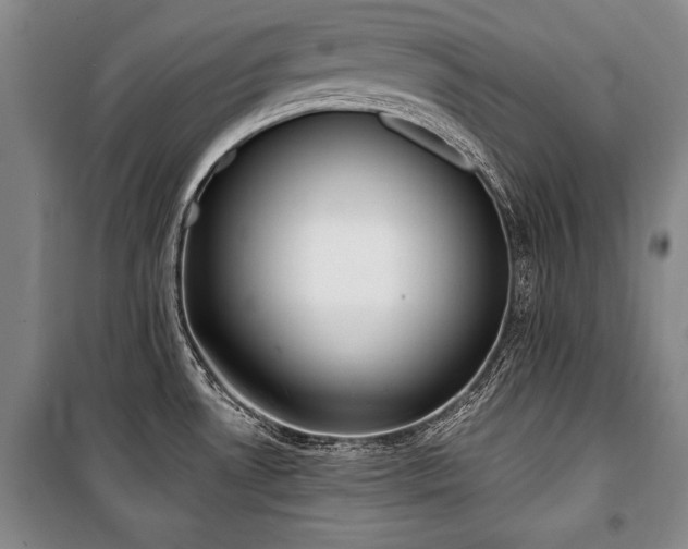 X0000101201530200806271339