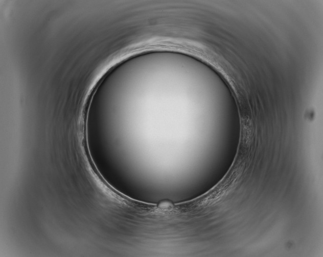 X0000101201531200806271339