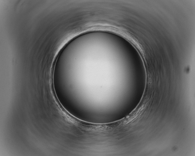 X0000101201533200806271339