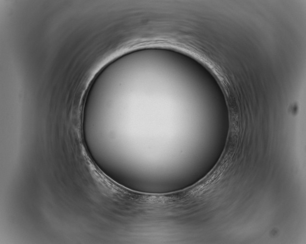 X0000101201534200806271339