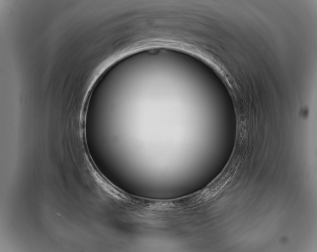 X0000101201535200806271339