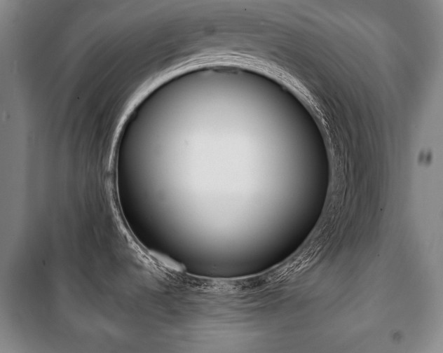 X0000101201536200806271339