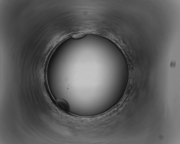 X0000101200002200807071326