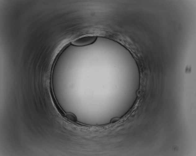 X0000101200003200807071326