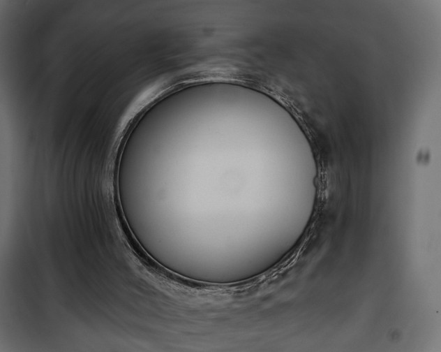 X0000101200004200807071326