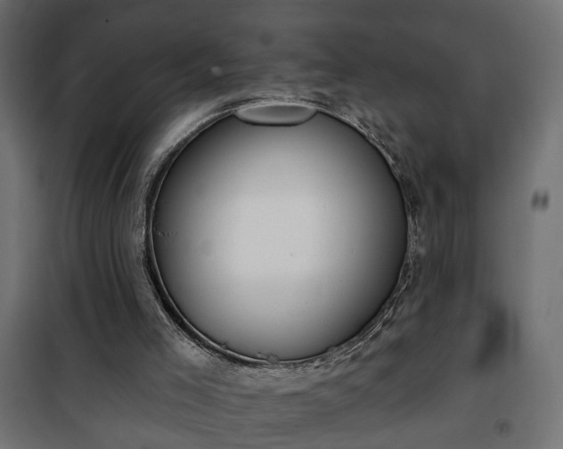 X0000101200005200807071326