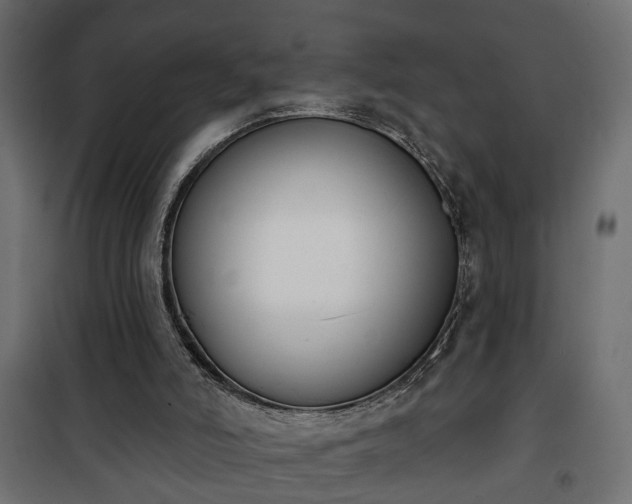 X0000101200006200807071326