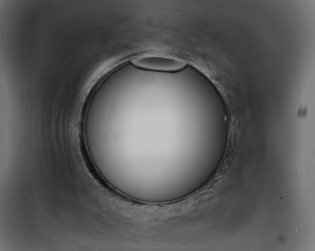 X0000101200007200807071326