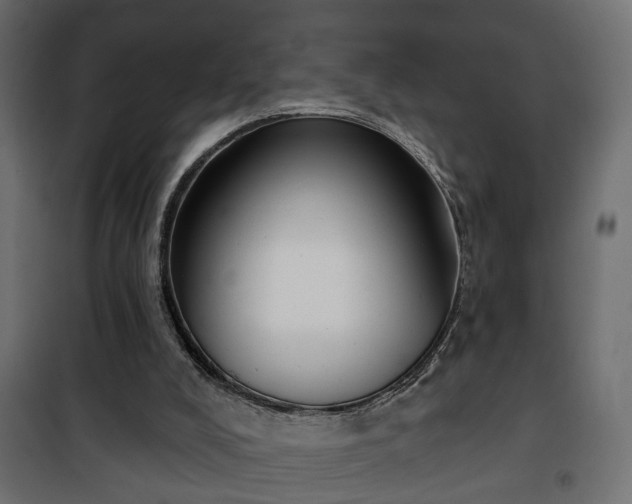 X0000101200008200807071326