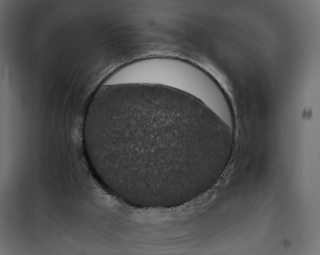 X0000101200009200807071326