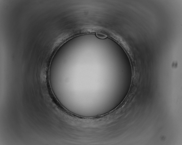 X0000101200010200807071326