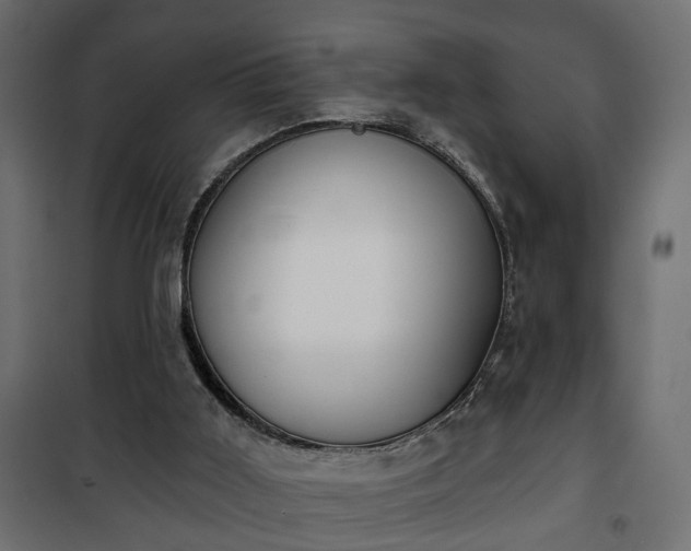 X0000101200011200807071326