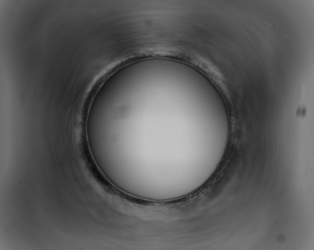 X0000101200012200807071326