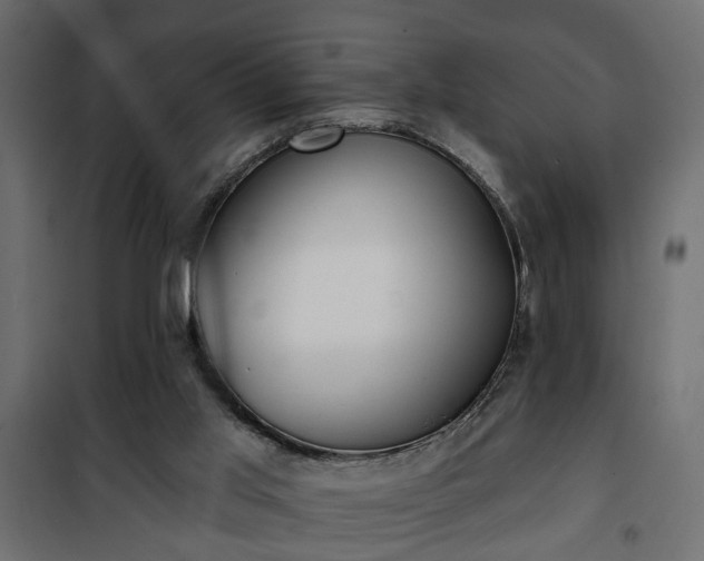 X0000101200013200807071326