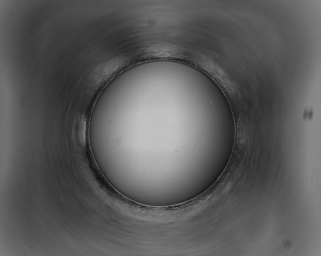 X0000101200014200807071326