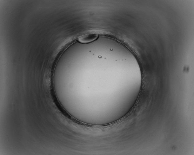 X0000101200015200807071326
