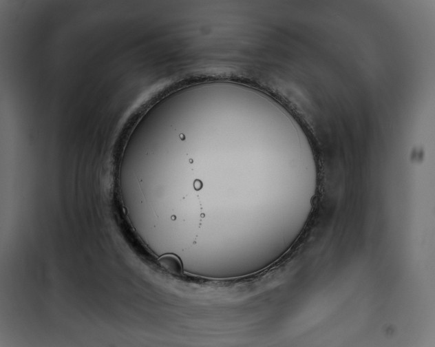 X0000101200016200807071326