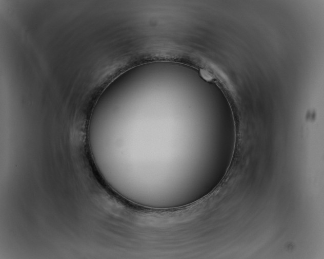 X0000101200017200807071326