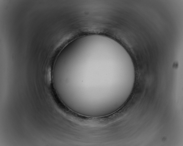 X0000101200020200807071326