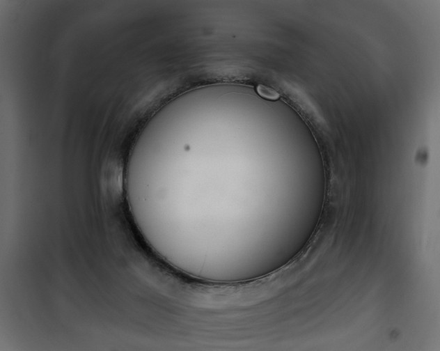 X0000101200021200807071325