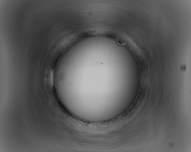 X0000101200022200807071325