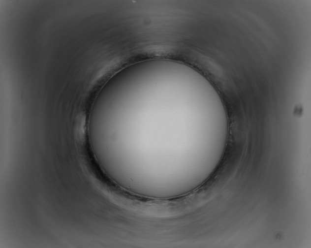 X0000101200024200807071325
