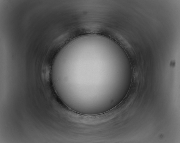 X0000101200026200807071325
