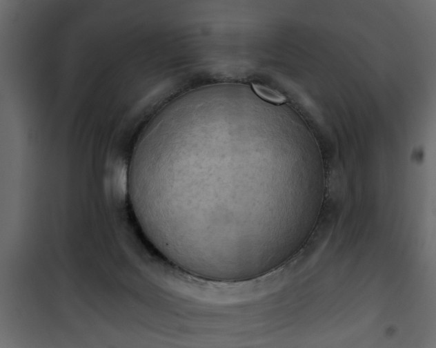 X0000101200027200807071325