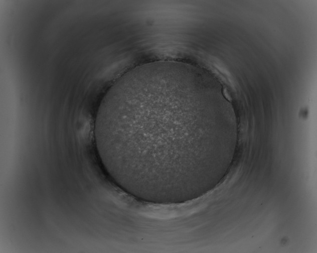 X0000101200029200807071325