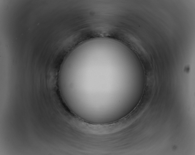 X0000101200030200807071325
