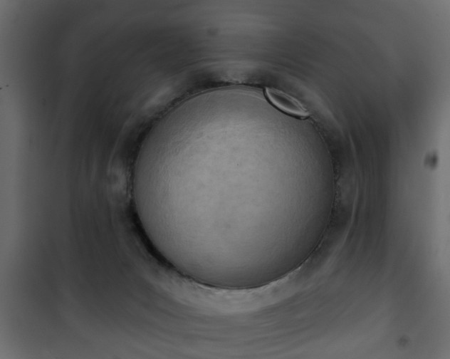 X0000101200031200807071325