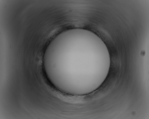 X0000101200032200807071325