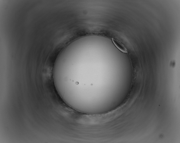 X0000101200033200807071325