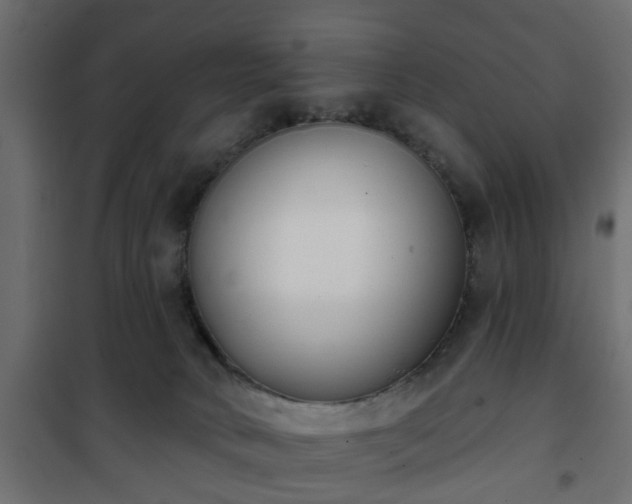 X0000101200034200807071325