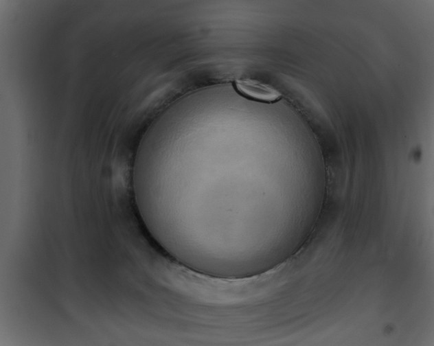 X0000101200035200807071325