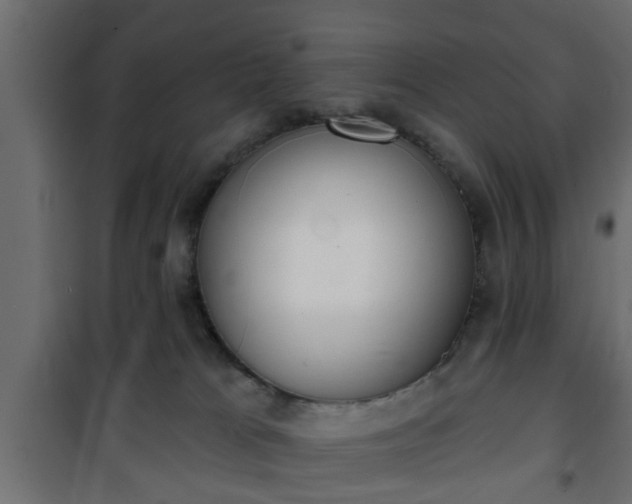 X0000101200037200807071325
