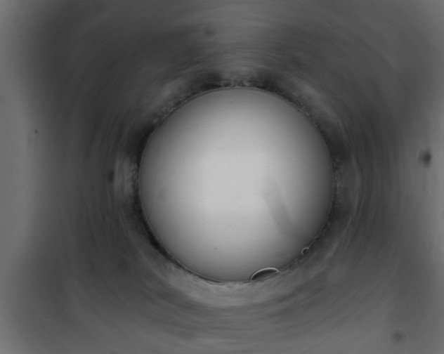 X0000101200038200807071325