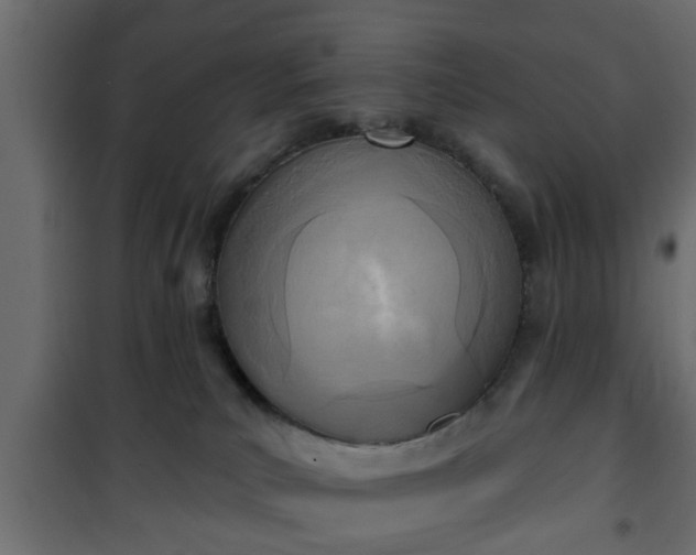 X0000101200039200807071325