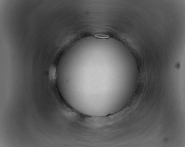 X0000101200041200807071325