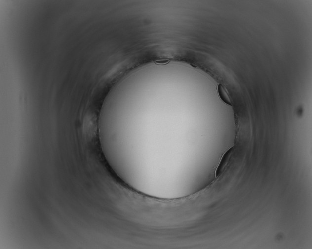 X0000101200043200807071325